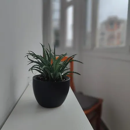 Haciendas 아파트 부쿠레슈티